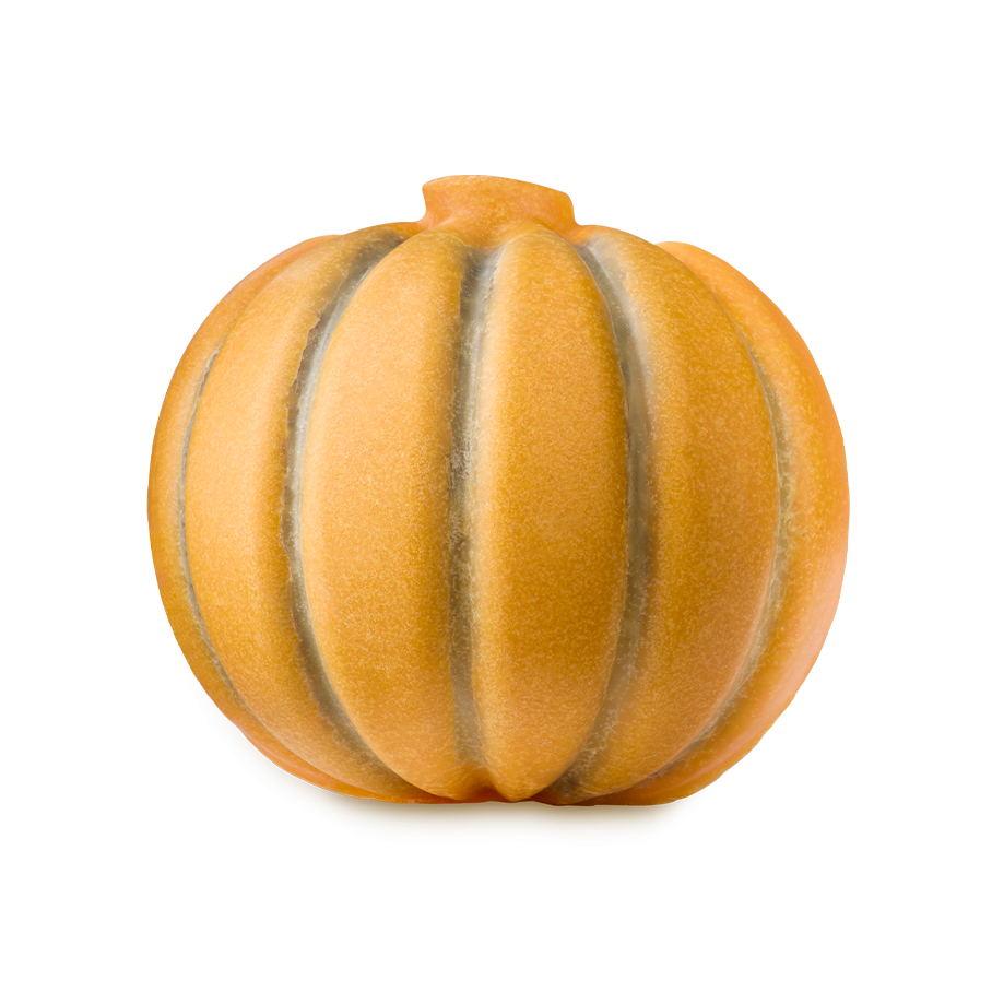 Pumpkin Scrubee